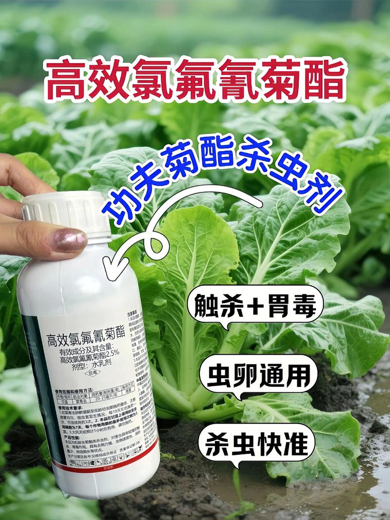 黄浦代生中心:农药对供卵代生妈妈的危害